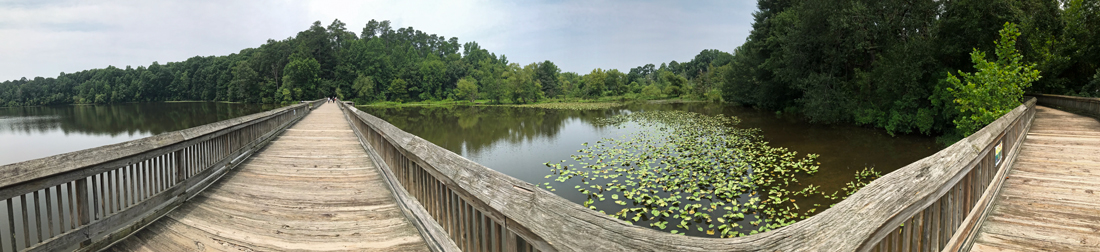 panorama of the Boardwalk